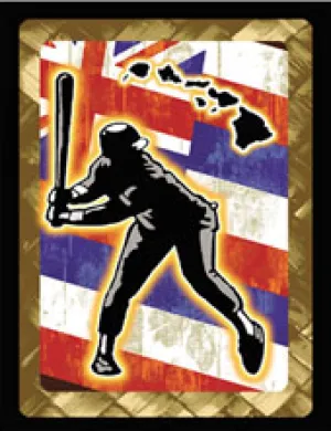 Baseball Hawaiian Flag