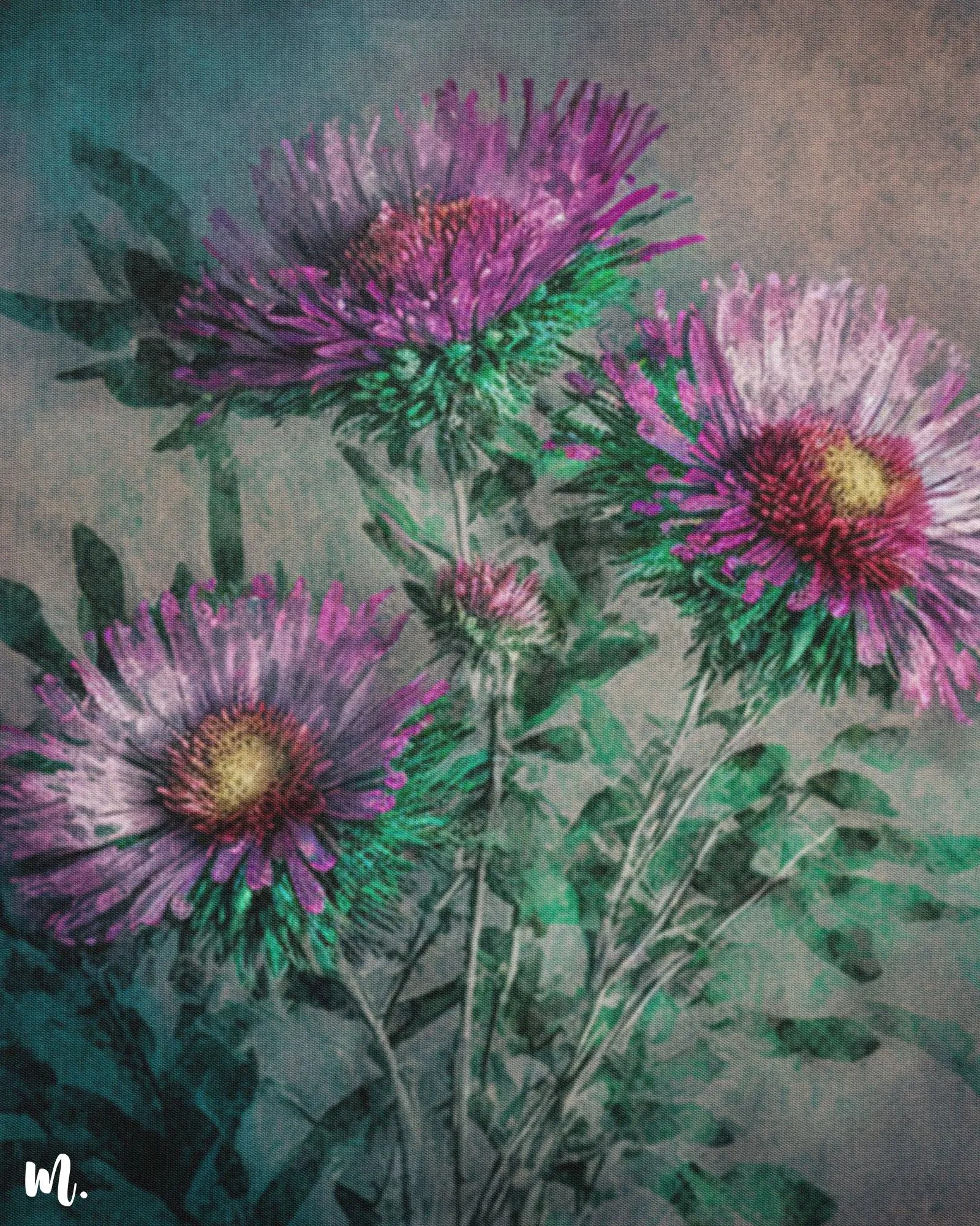Blooming asters modern canvas art