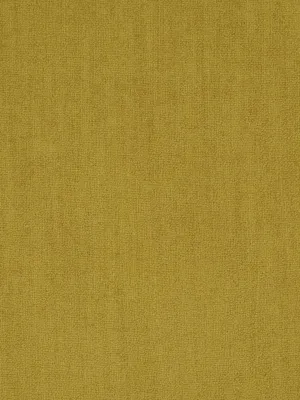 Canvas Chenille-Aureolin