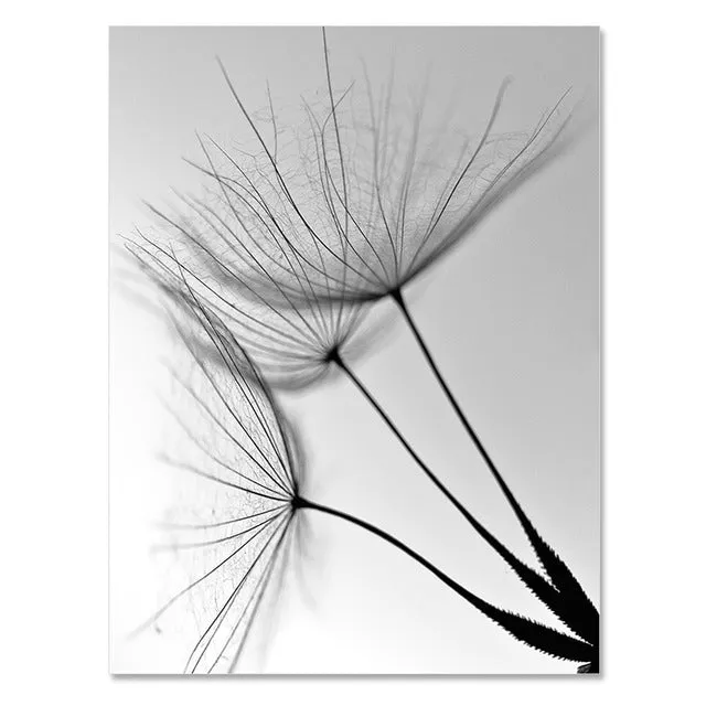 Dandelion Flower Wall Art