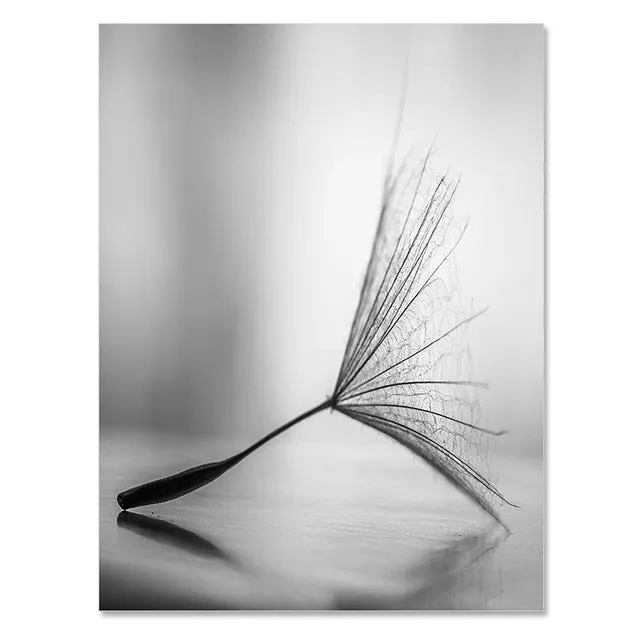 Dandelion Flower Wall Art