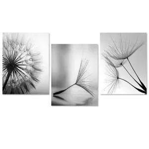 Dandelion Flower Wall Art
