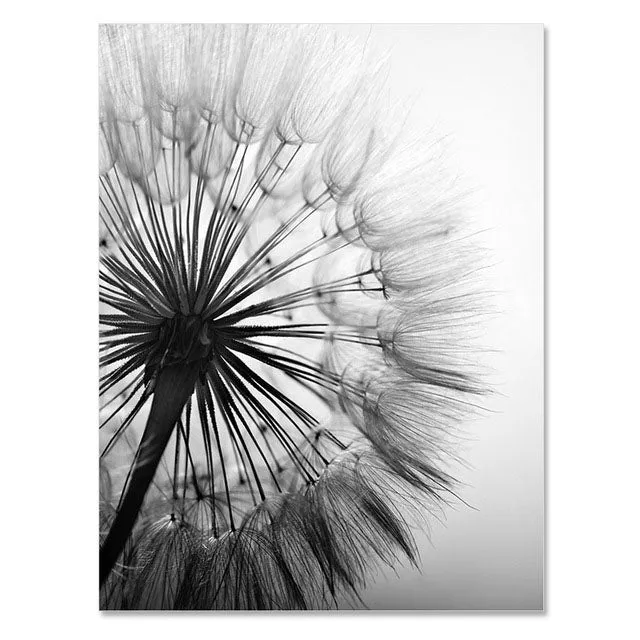 Dandelion Flower Wall Art