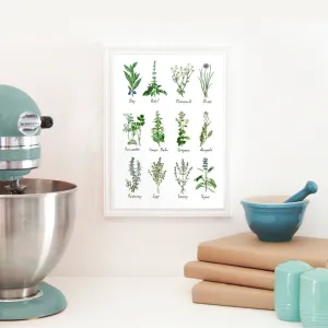 Decor Botanical Chart Wall Art
