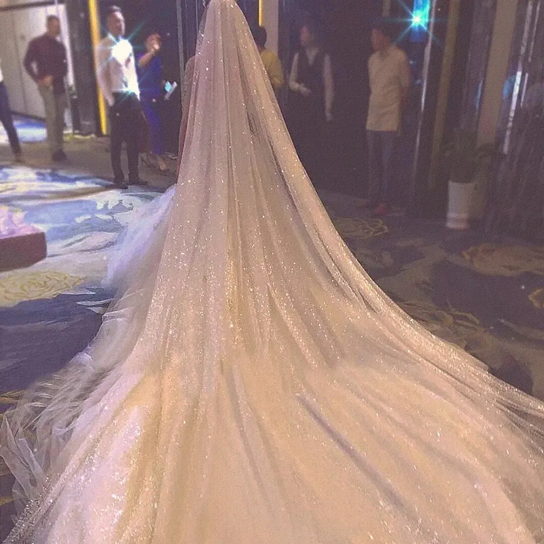 Glittery Double Tier Bridal Veil with Sparkling Comb
