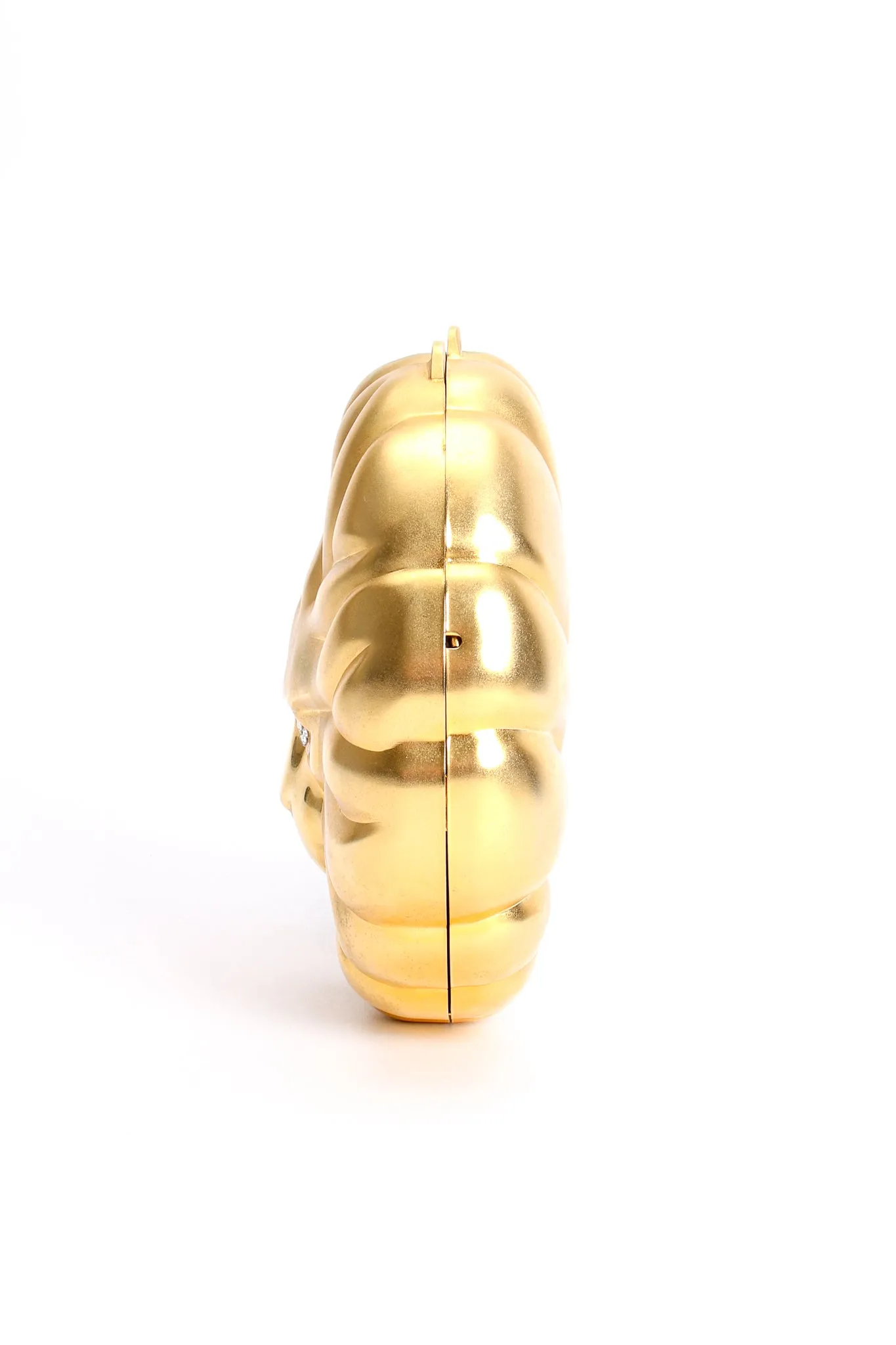Golden Lion Bag