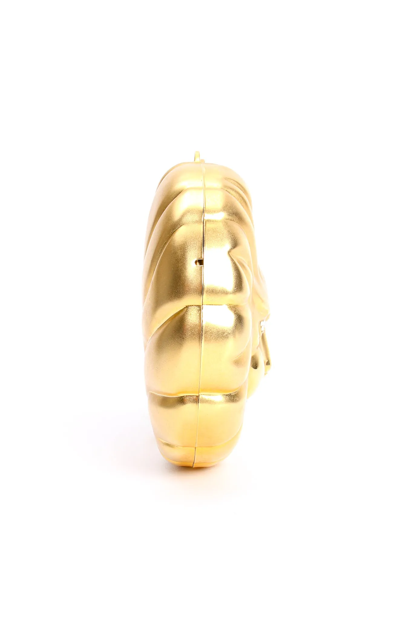 Golden Lion Bag