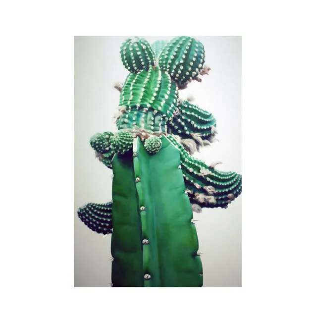 Nordic Red Blue Cactus Wall Art