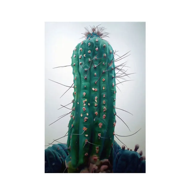 Nordic Red Blue Cactus Wall Art
