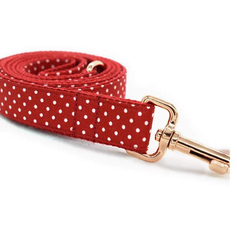 Personalized Polka Dots Pet Collar And Leash