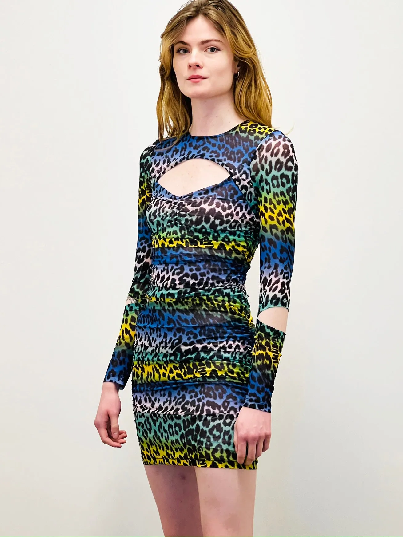 Printed Mesh Cutout Mini Dress | Multi Print