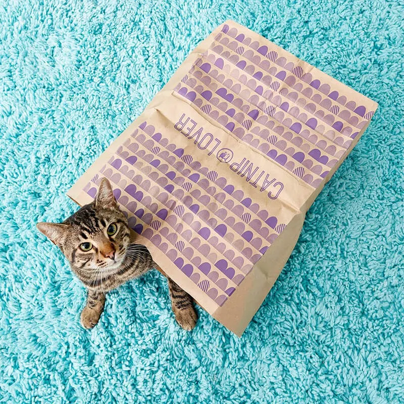 SmartyKat Catnip Infused Paper Bags