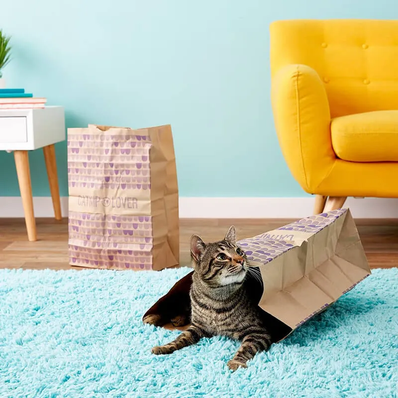 SmartyKat Catnip Infused Paper Bags