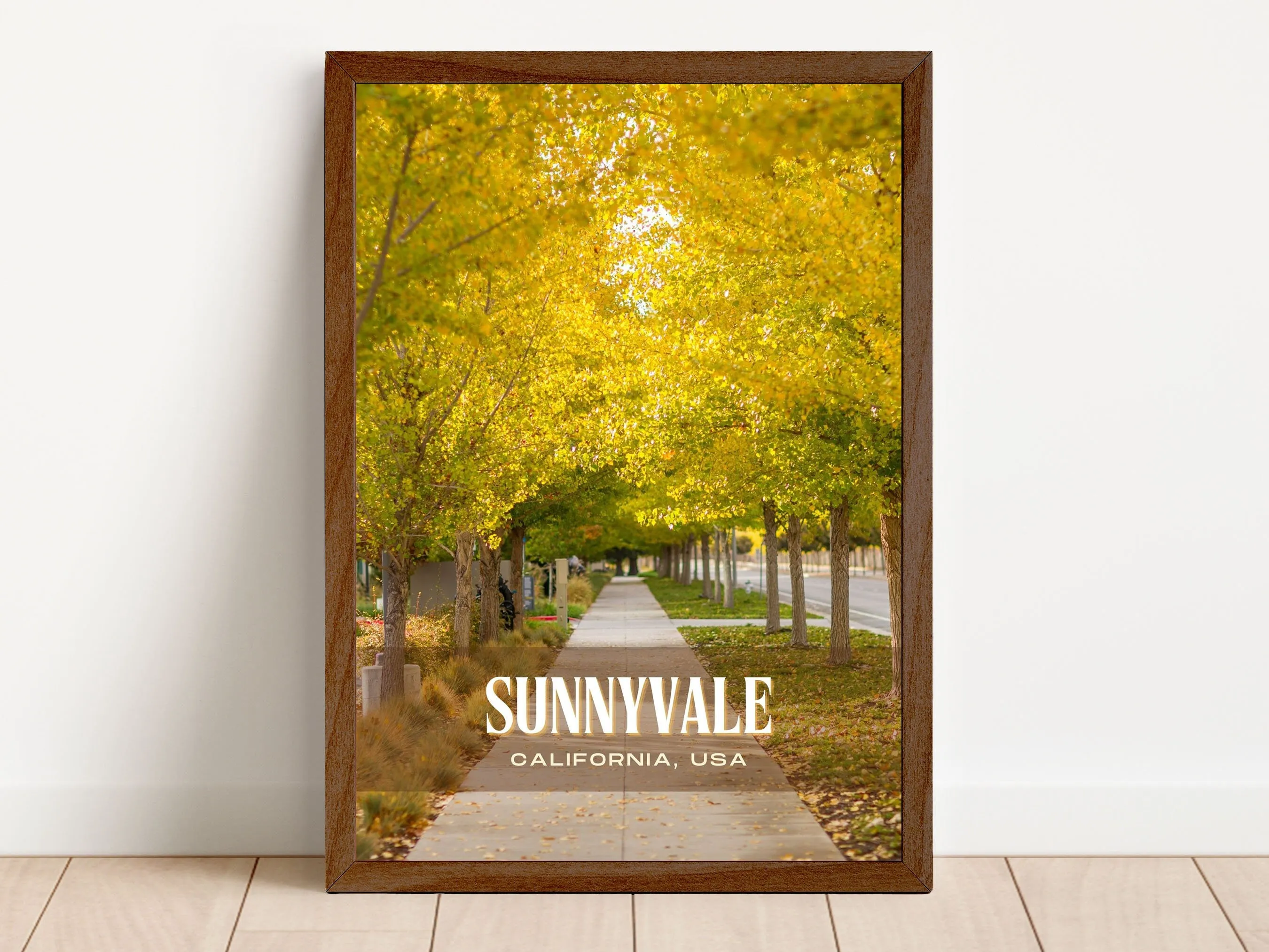Sunnyvale Retro Wall Art, California, USA