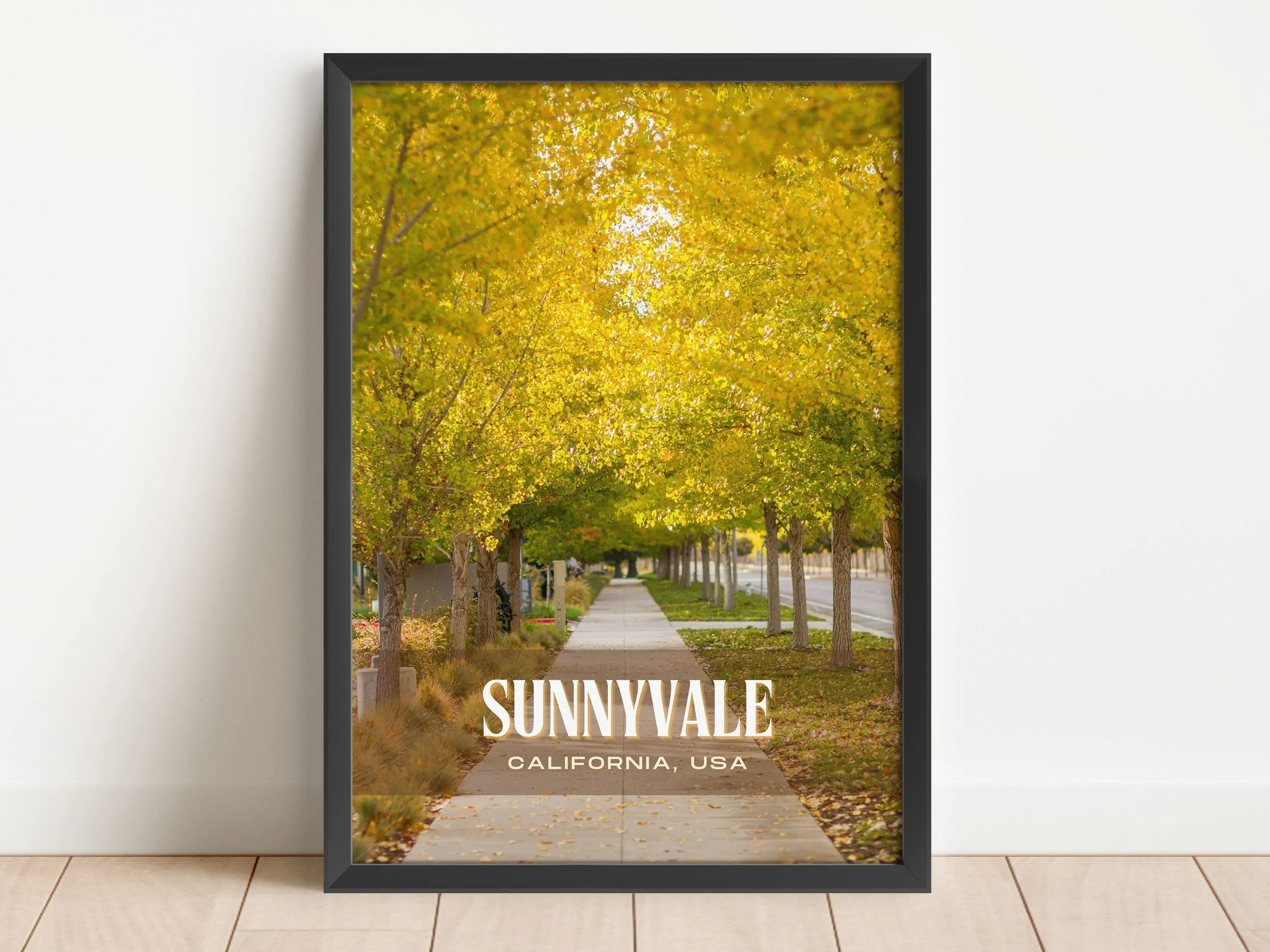 Sunnyvale Retro Wall Art, California, USA