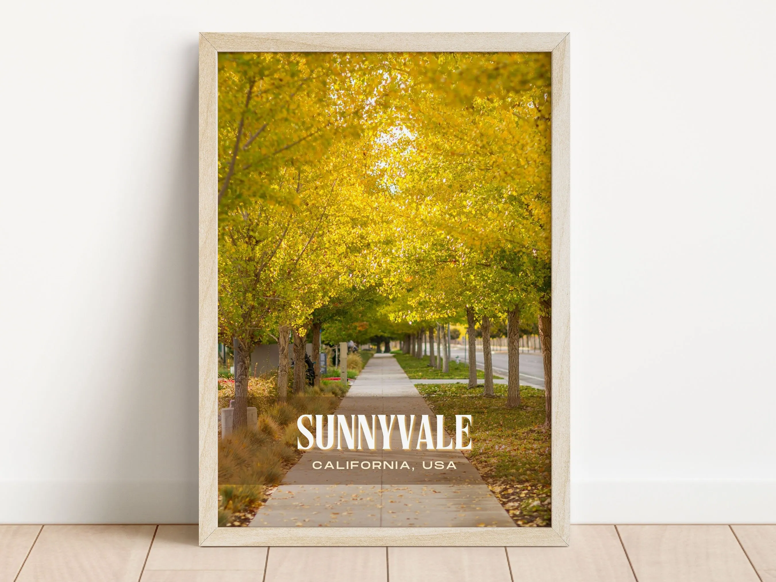 Sunnyvale Retro Wall Art, California, USA
