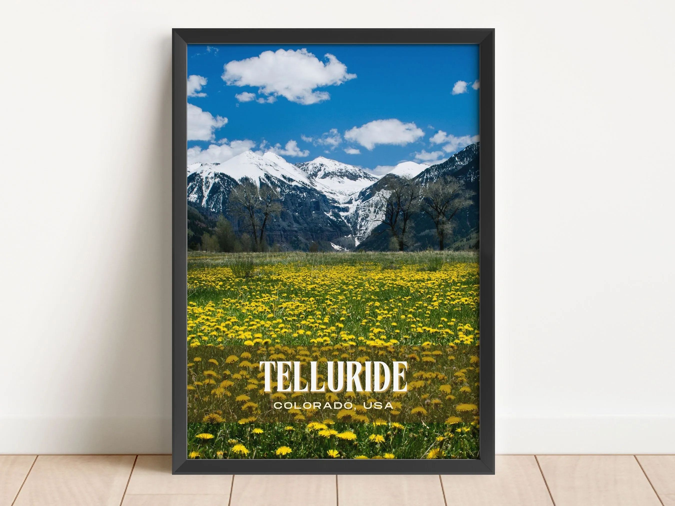 Telluride Retro Wall Art, Colorado, USA