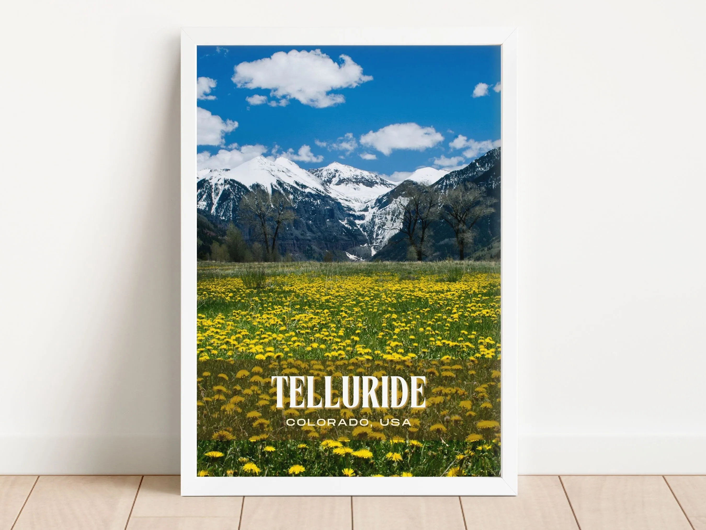 Telluride Retro Wall Art, Colorado, USA