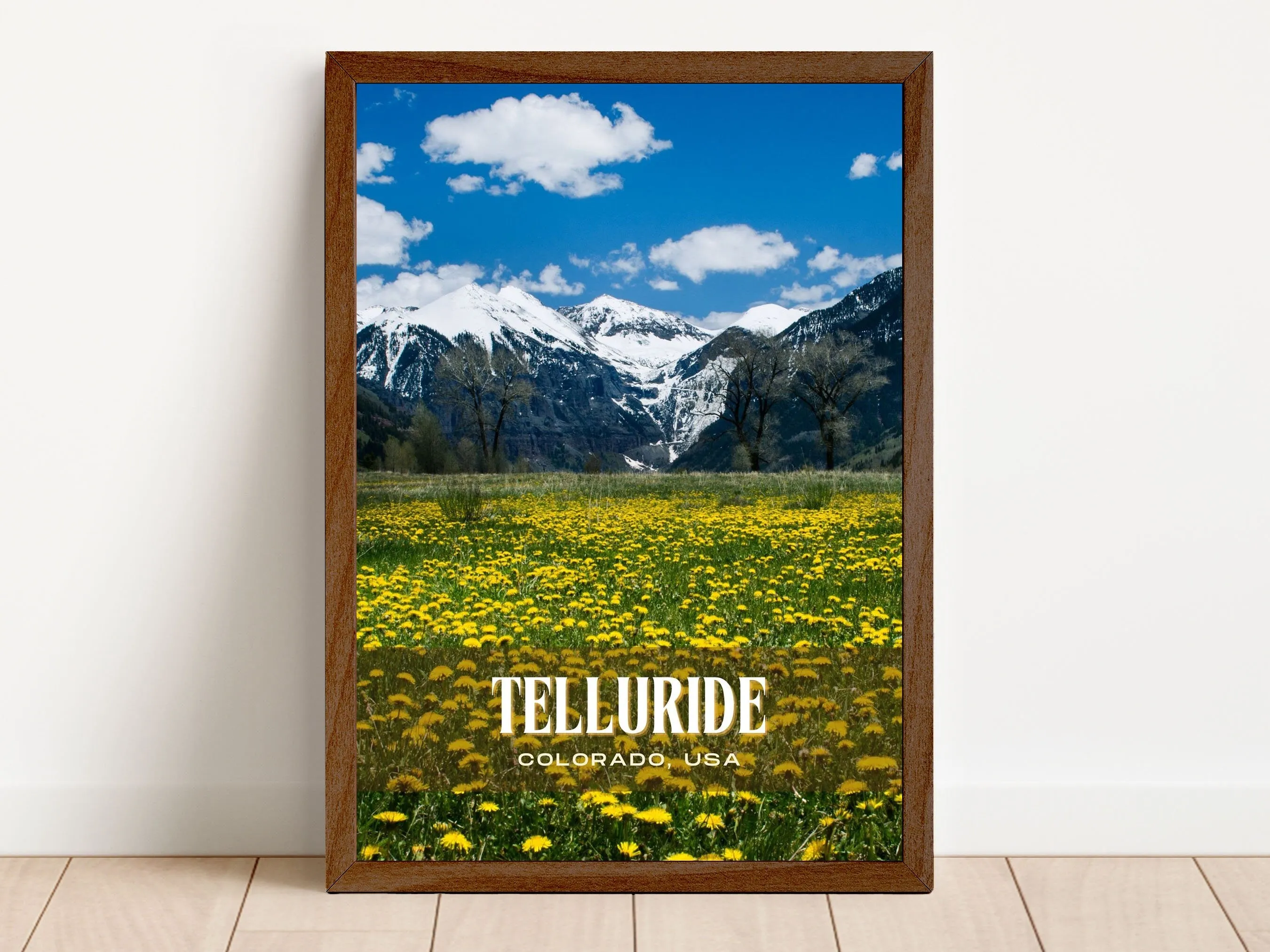 Telluride Retro Wall Art, Colorado, USA