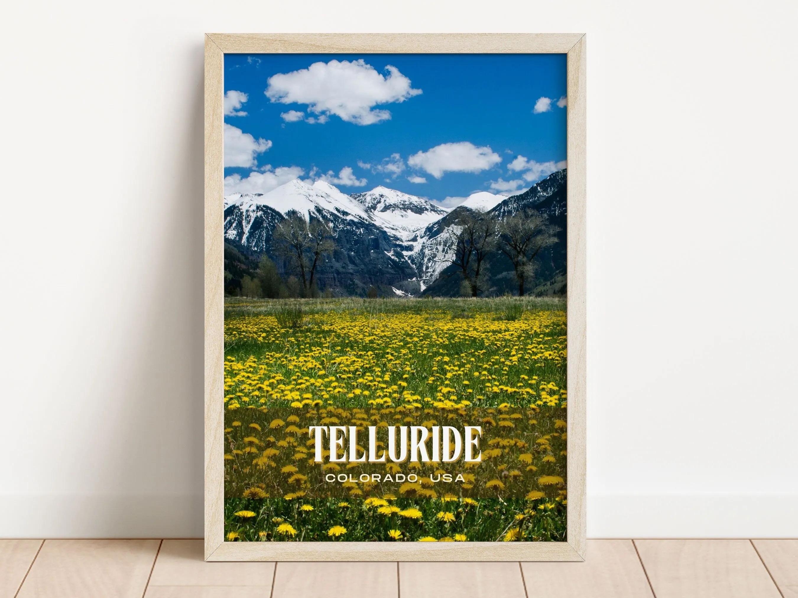 Telluride Retro Wall Art, Colorado, USA