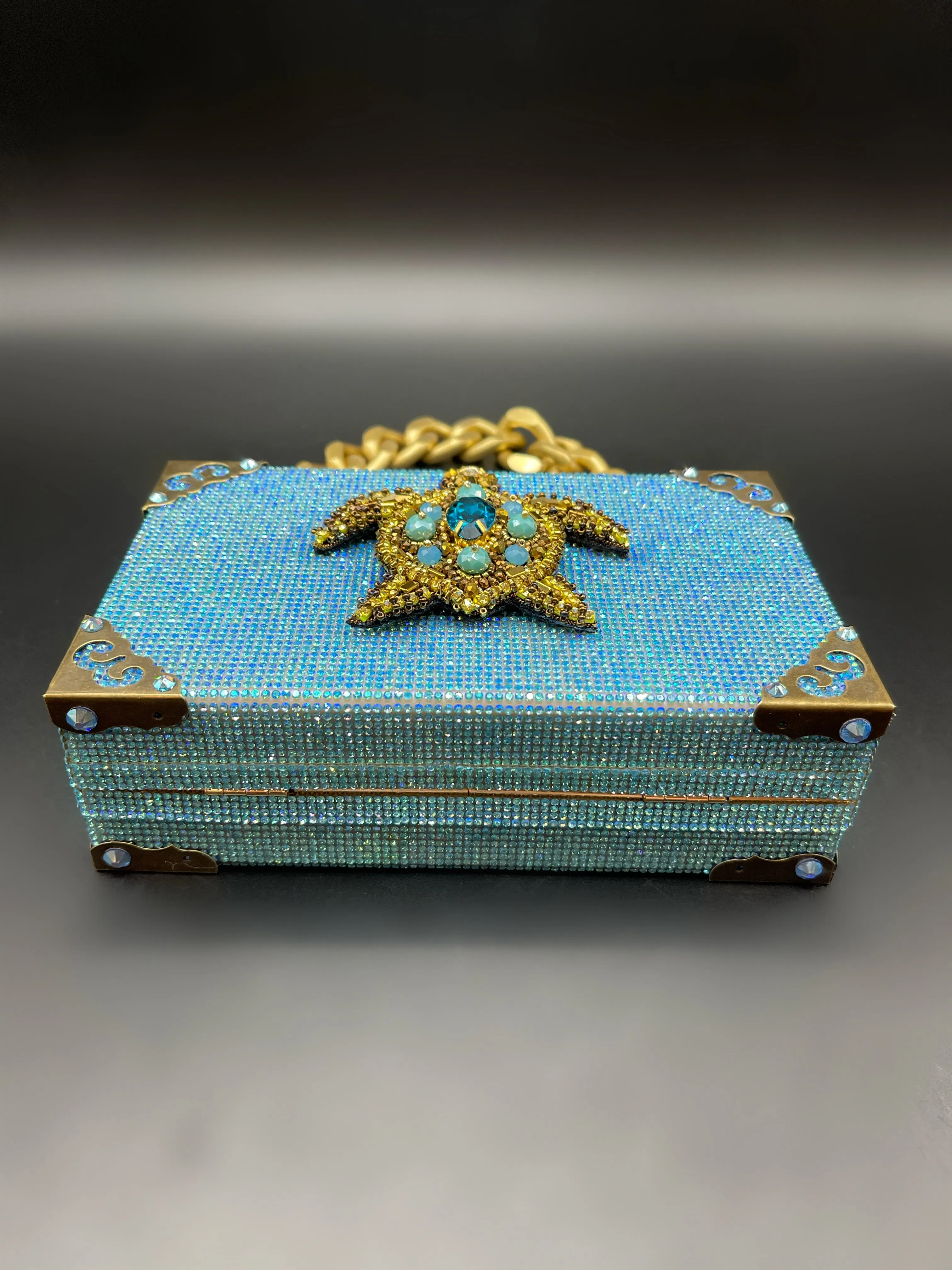 Turquoise Turtle