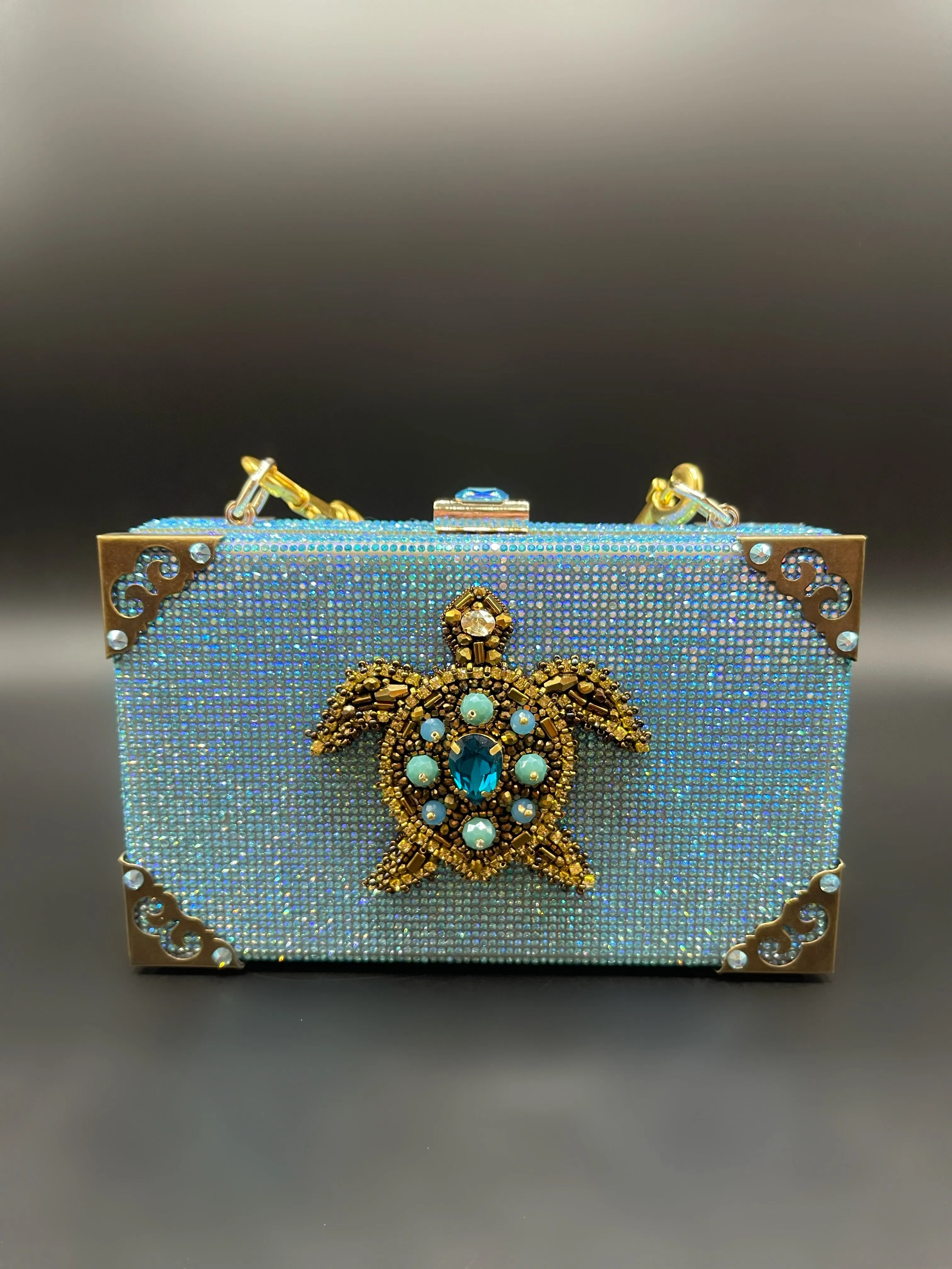 Turquoise Turtle