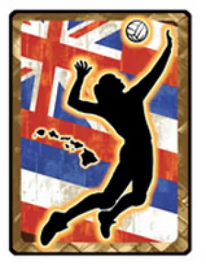 Wahine Volleyball Hawaiian Flag Decal
