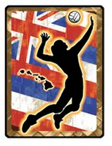 Wahine Volleyball Hawaiian Flag Decal